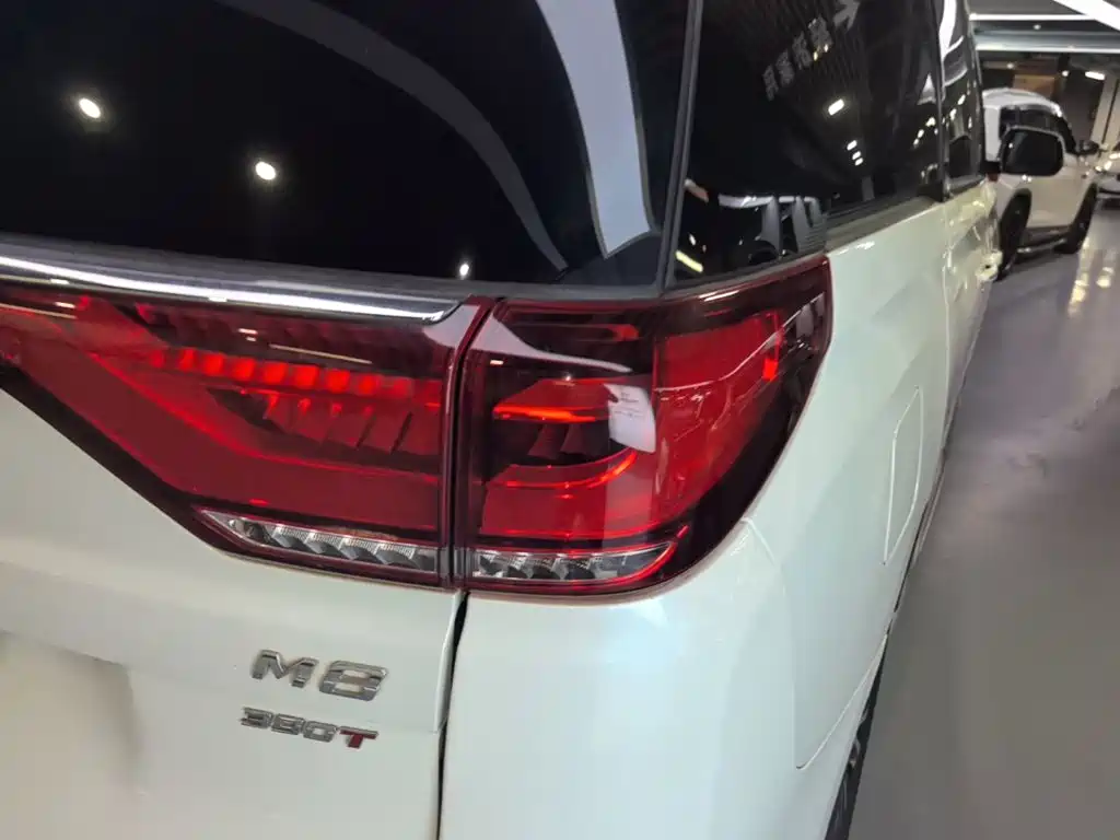 GAC Motor Trumpchi M8 2023 — фото 8