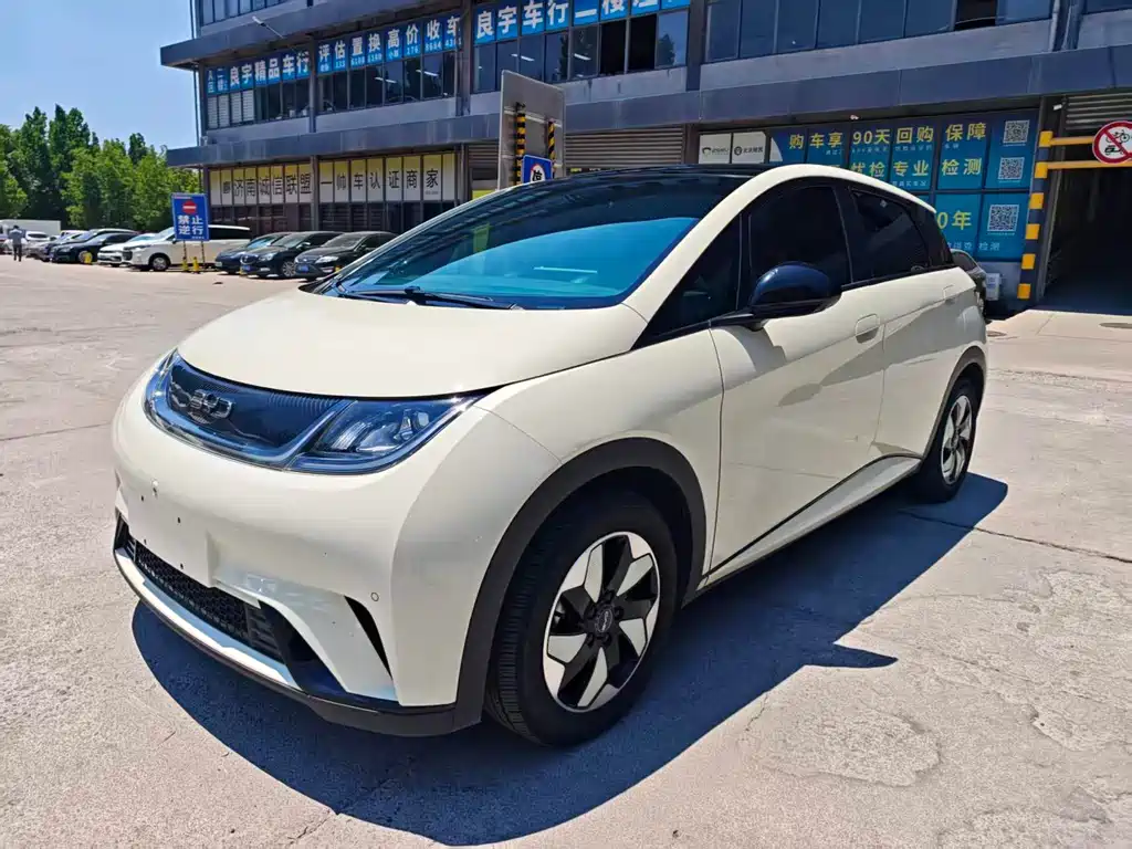 BYD Dolphin 2024