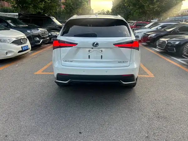 Lexus NX 2018