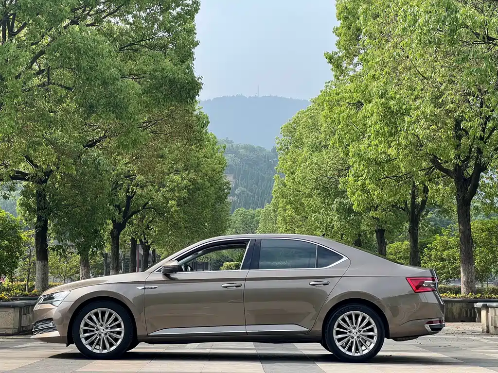 Skoda Superb 2020 — фото 15