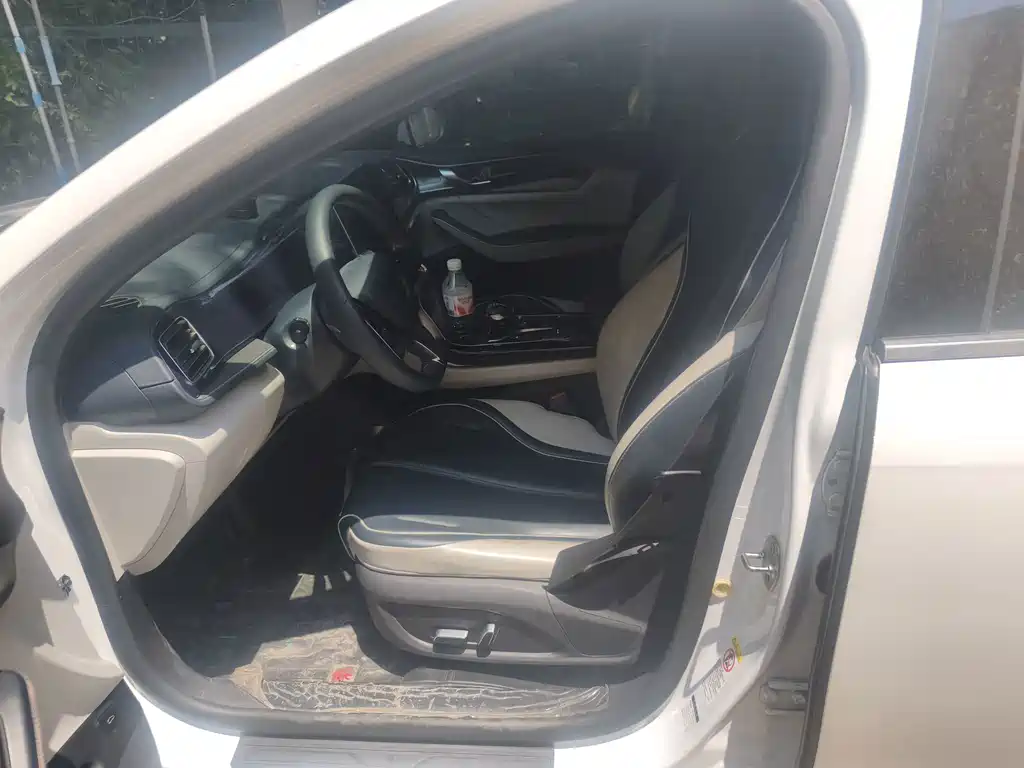 BYD Qin PLUS 2021