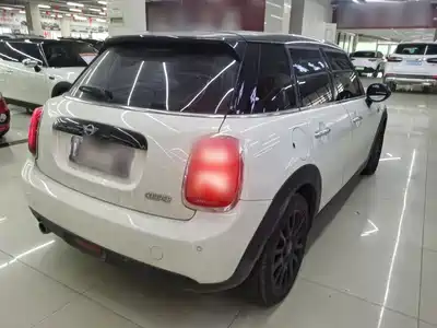 MINI MINI 2018