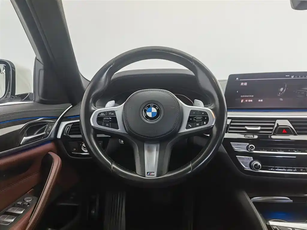 BMW 5 Series 2020 — фото 11