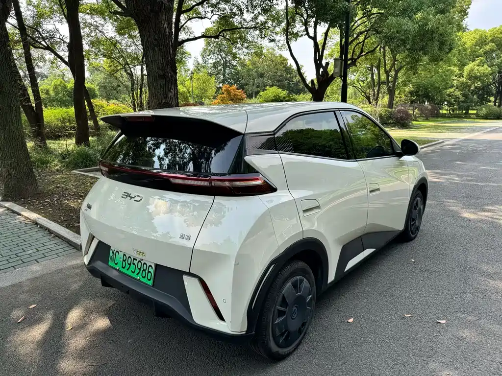 BYD Seagull 2024