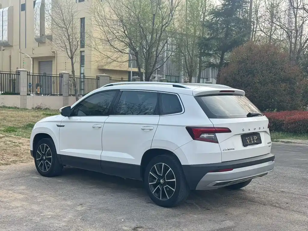 Skoda Karoq 2019 — фото 4