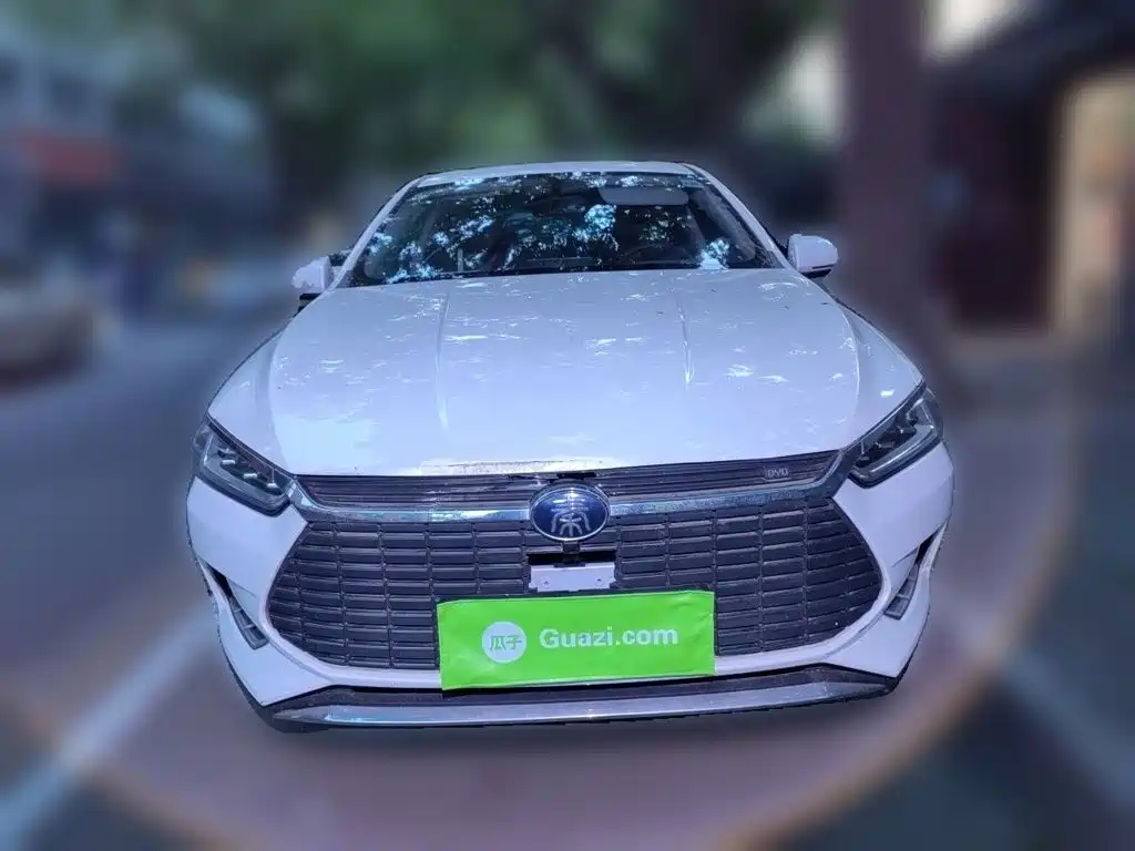 BYD Qin Pro New Energy 2019 — фото 24