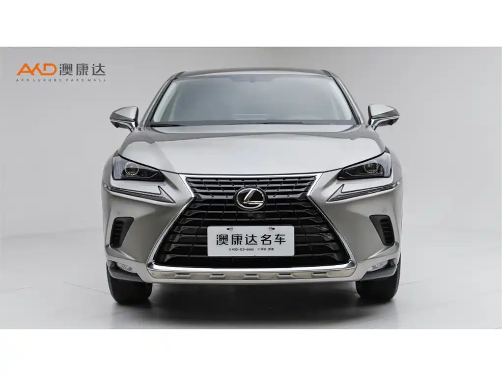 Lexus NX 2020 — фото 2