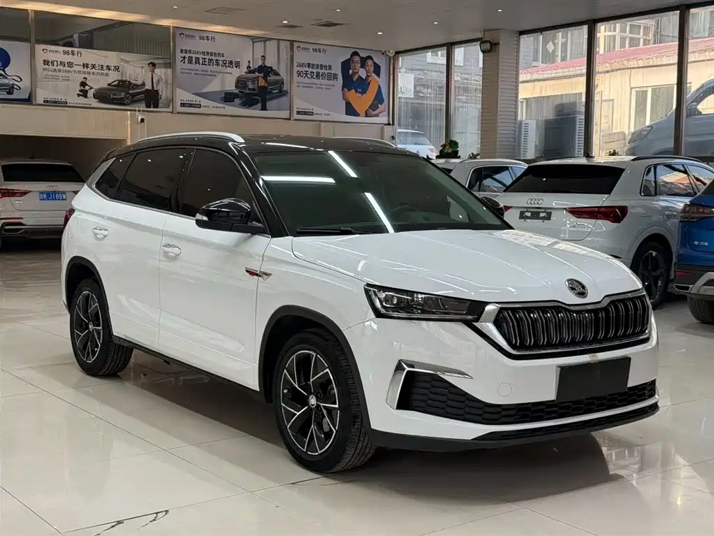 Skoda Kamiq 2024 — фото 3