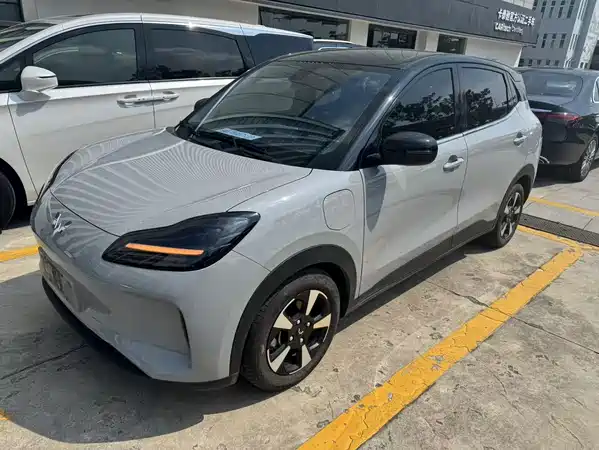 Wuling Bingo PLUS 2024
