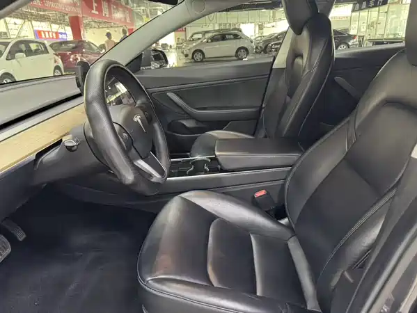 Tesla Model 3 2019