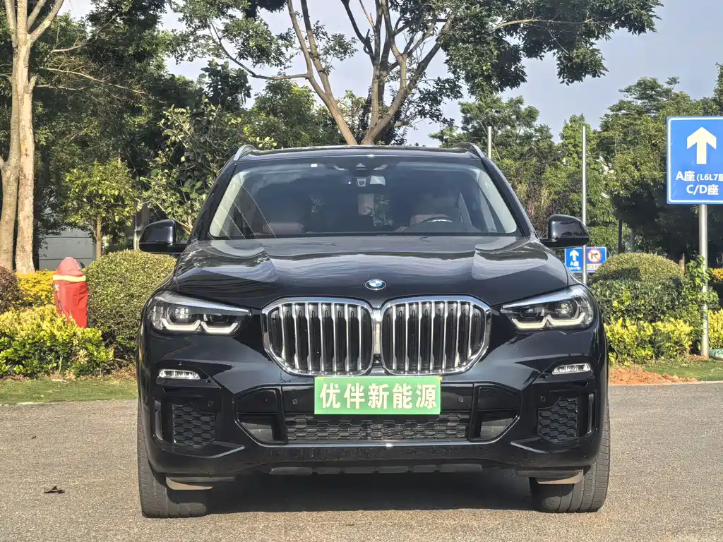 BMW X5 New Energy 2020 — фото 2