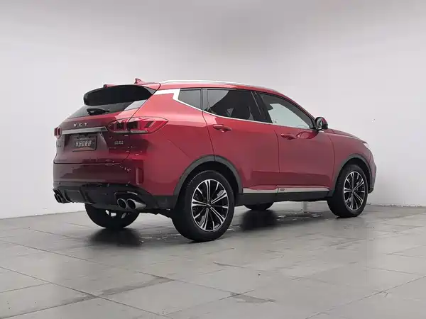 Wey VV6 2019