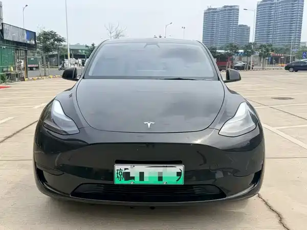 Tesla Model Y 2021