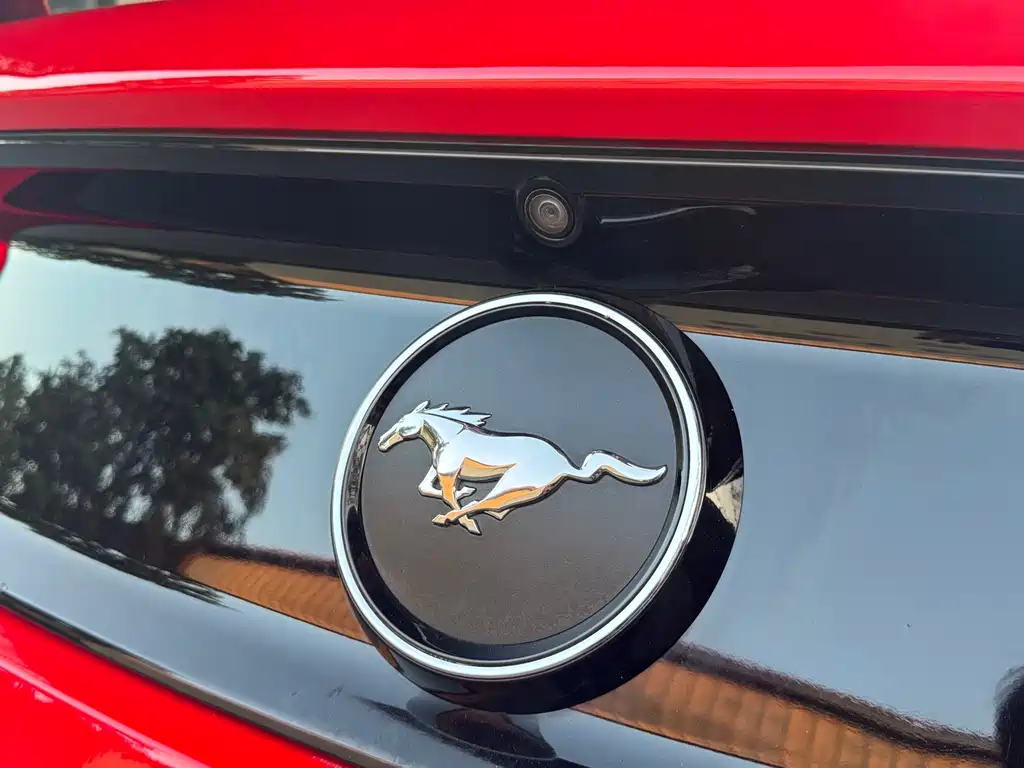Ford Mustang 2015 — фото 32
