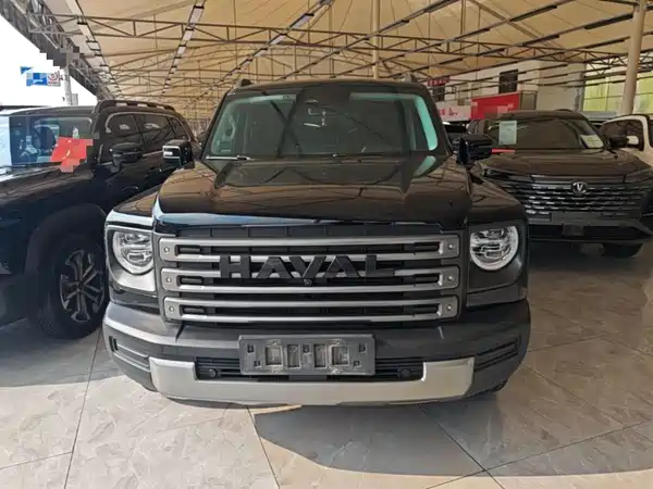 Haval Raptors New Energy 2024