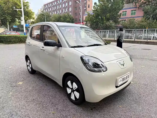 Wuling Hongguang MINIEV 2025
