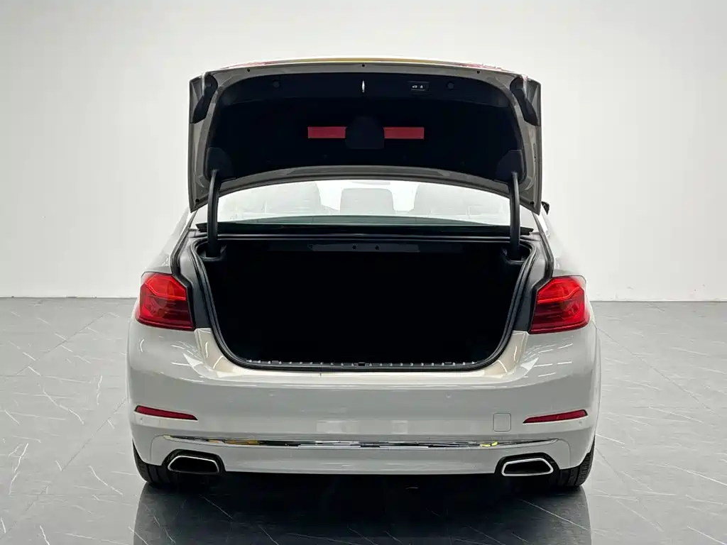 BMW 5 Series 2019 — фото 10