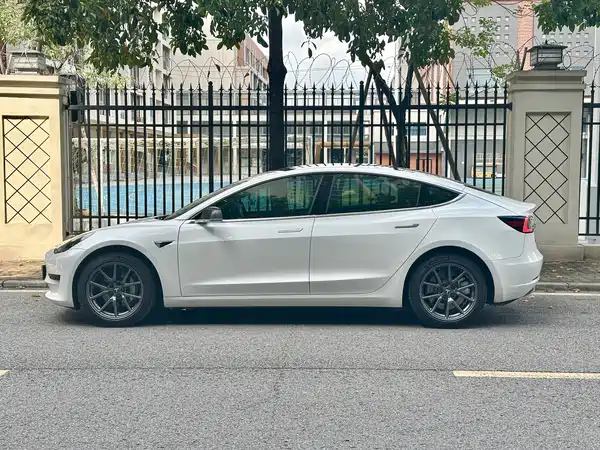 Tesla Model 3 2019