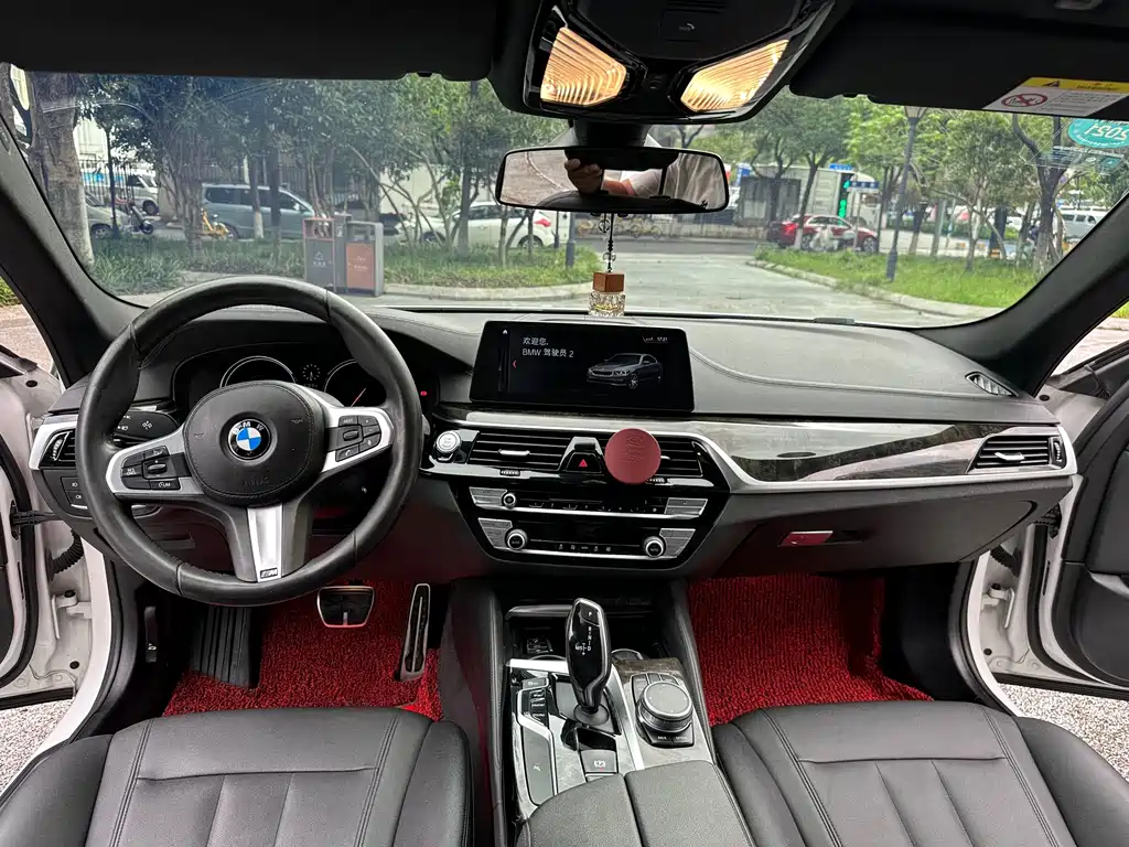 BMW 5 Series 2019 — фото 14