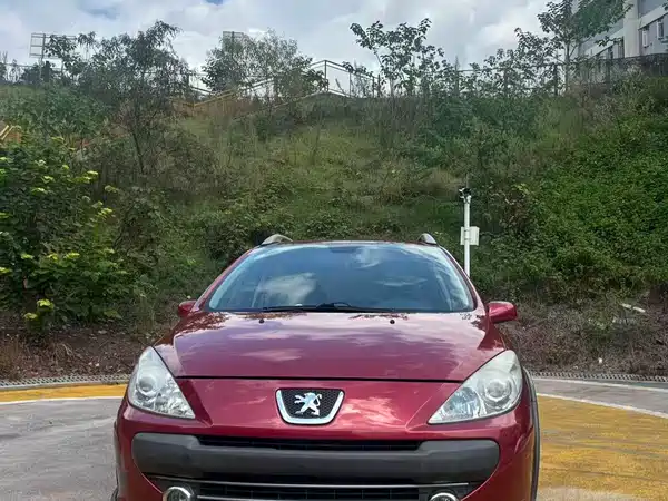 Peugeot 307 2012