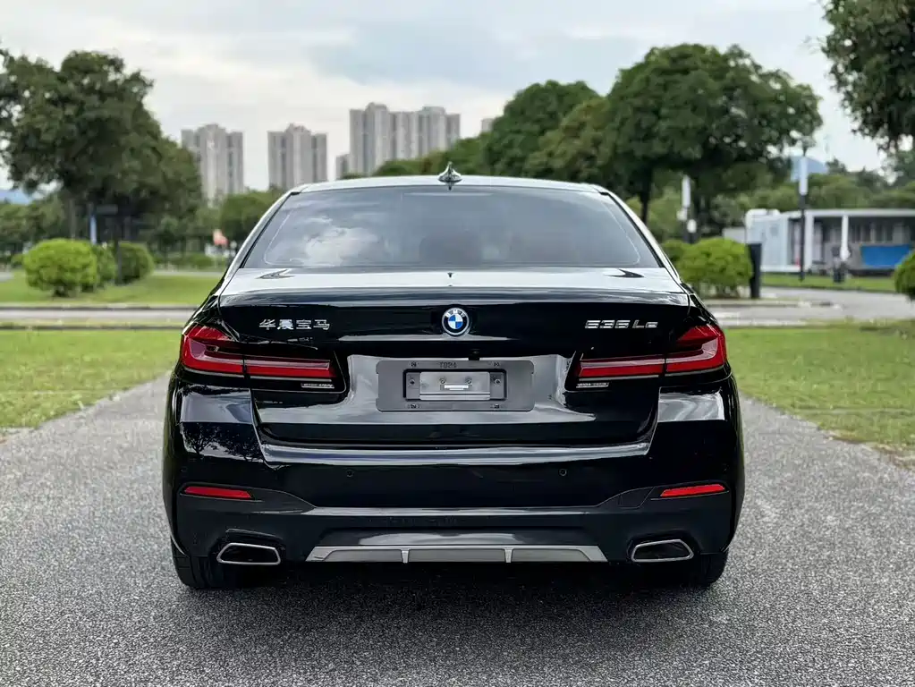 BMW 5 Series New Energy 2022