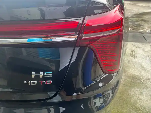 Hongqi H5 2023