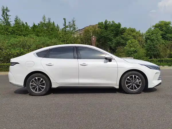 BYD Destroyer 05 2024