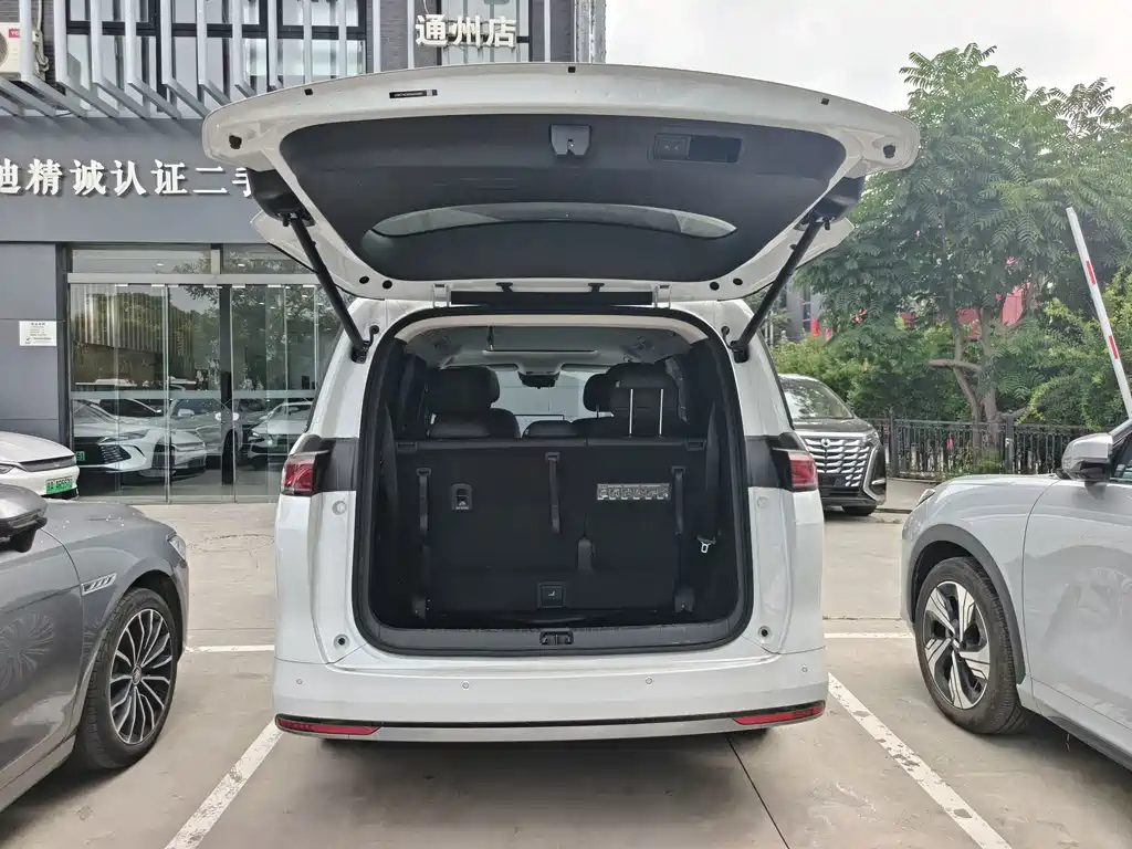 BYD M9 2025 — фото 20
