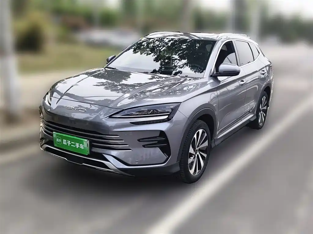 BYD PLUS New Energy 2024 — фото 2