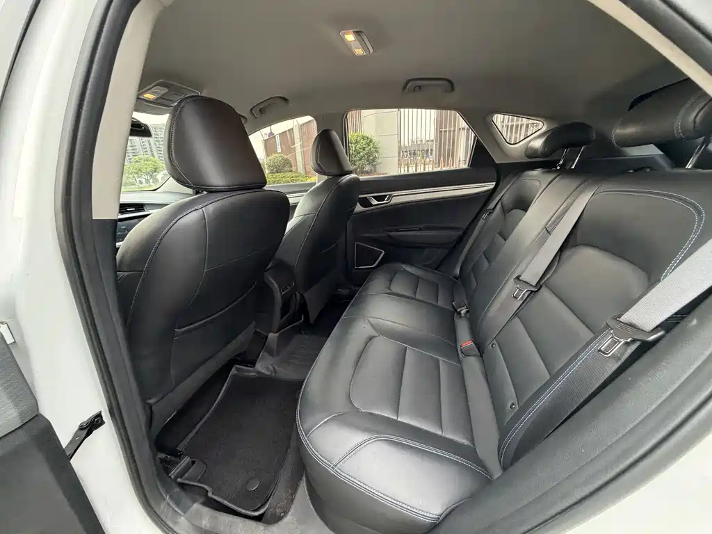 Geely Emgrand Gse 2020 — фото 4