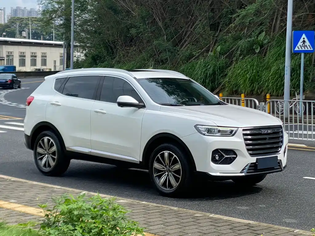 Haval H6 2021 — фото 3