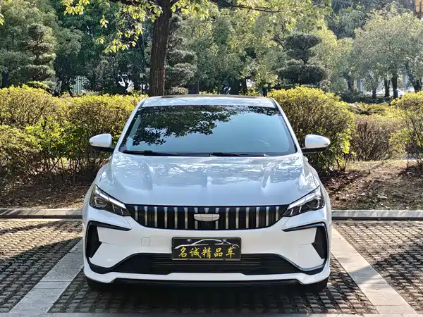 Geely Binrui 2024