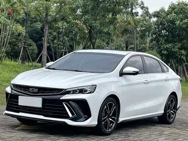 Geely Binrui 2023
