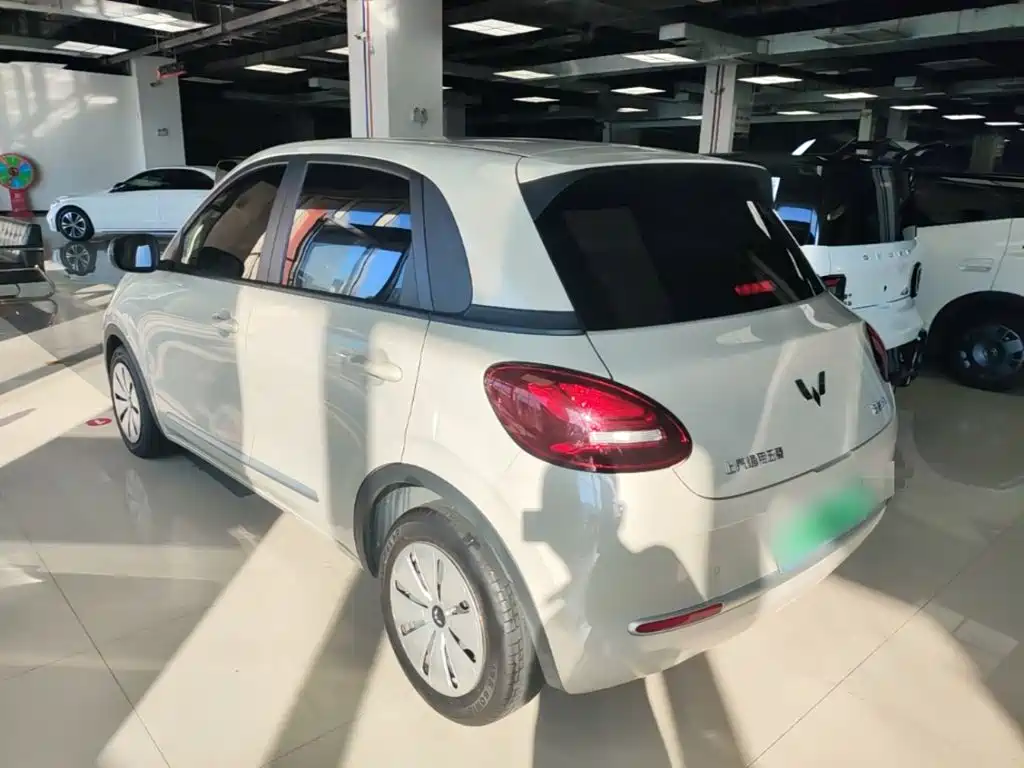 Wuling Bingo 2024