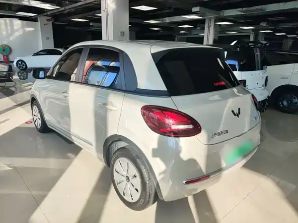 Wuling Bingo 2024