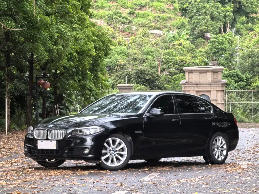 BMW 5 Series 2015 — фото 1