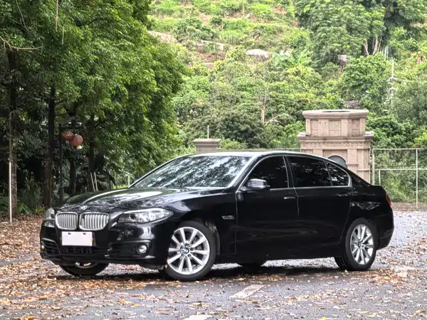 BMW 5 Series 2015