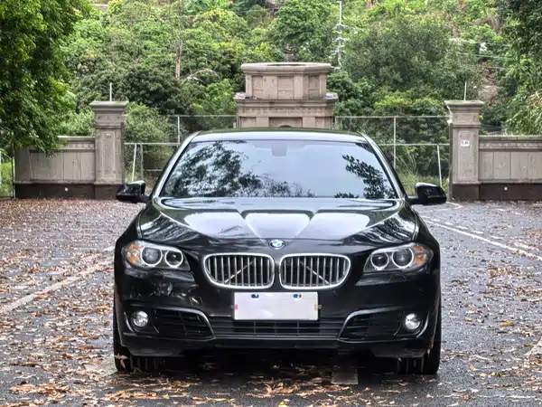 BMW 5 Series 2015
