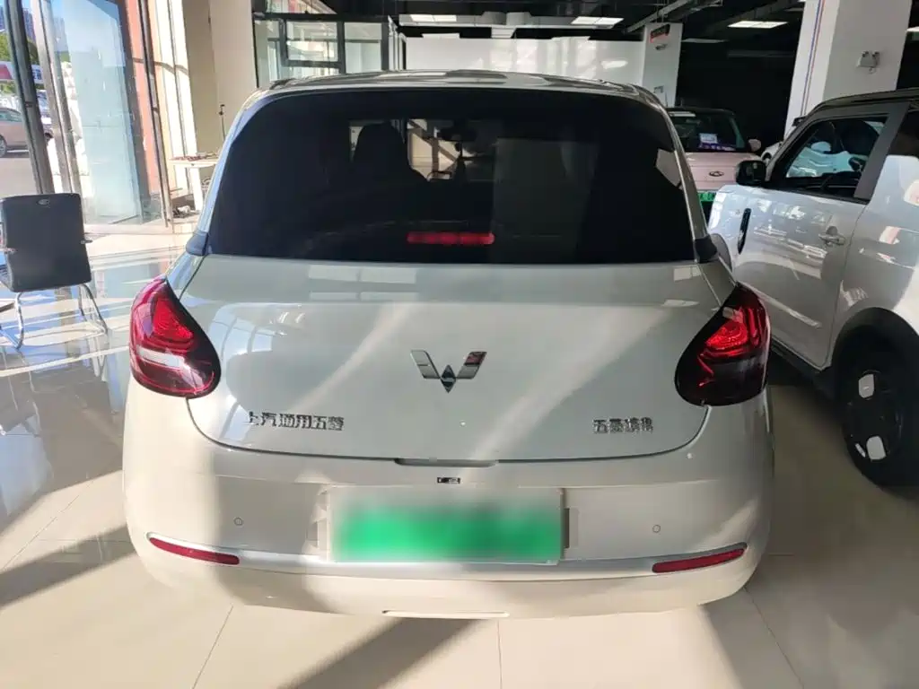 Wuling Bingo 2024