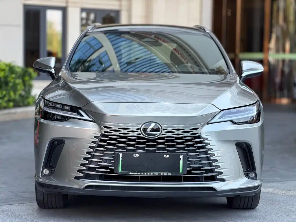 Lexus RX New Energy 2023 — фото 3