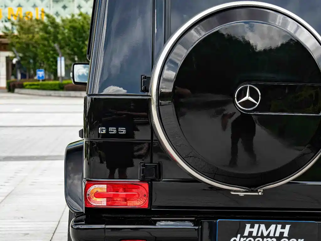 Mercedes-Benz G-Class AMG 2010 — фото 9