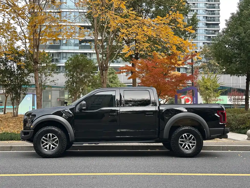 Ford F-150 Raptor 2018 — фото 30