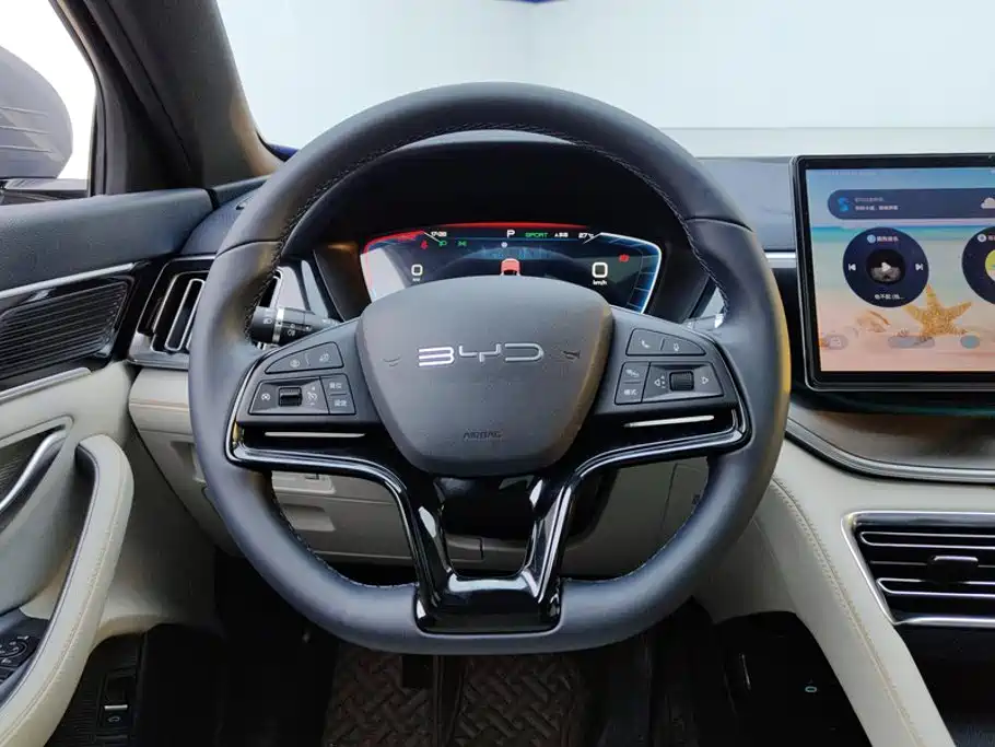 BYD Song PLUS New Energy 2024 — фото 15