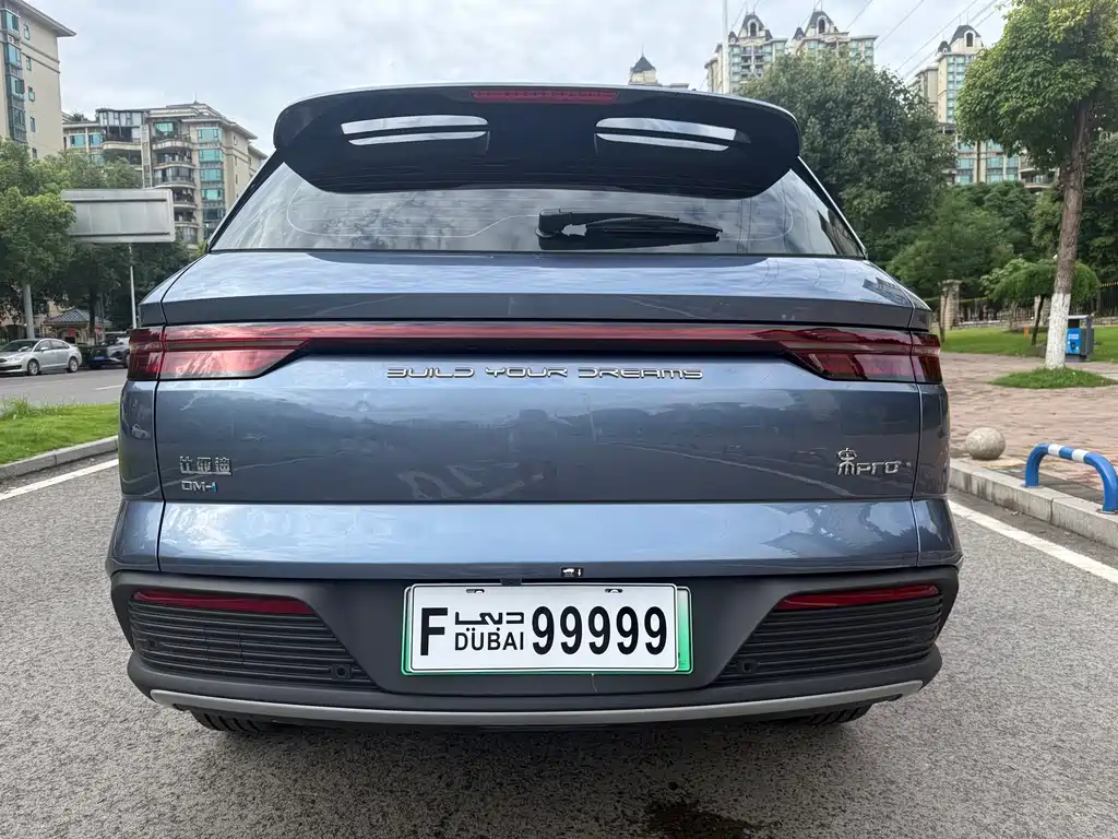 BYD Pro New Energy 2024 — фото 10