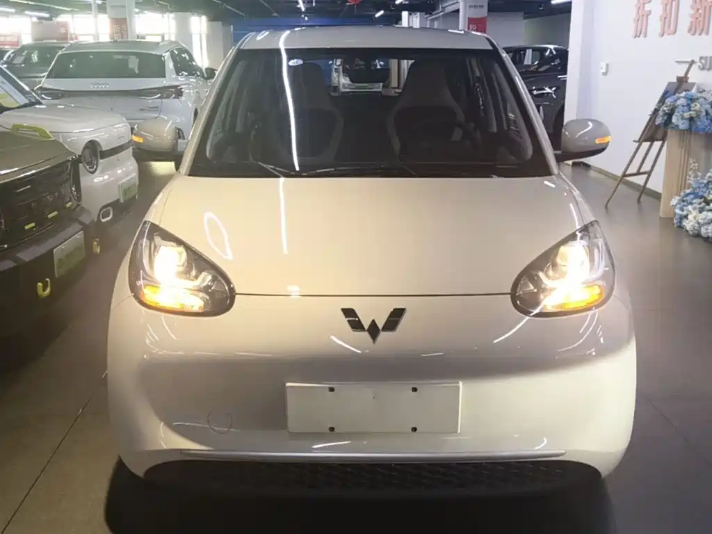Wuling Bingo 2024