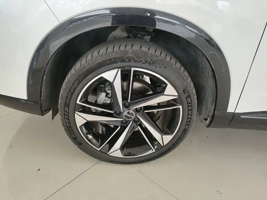 Roewe RX5 MAX 2023 — фото 23