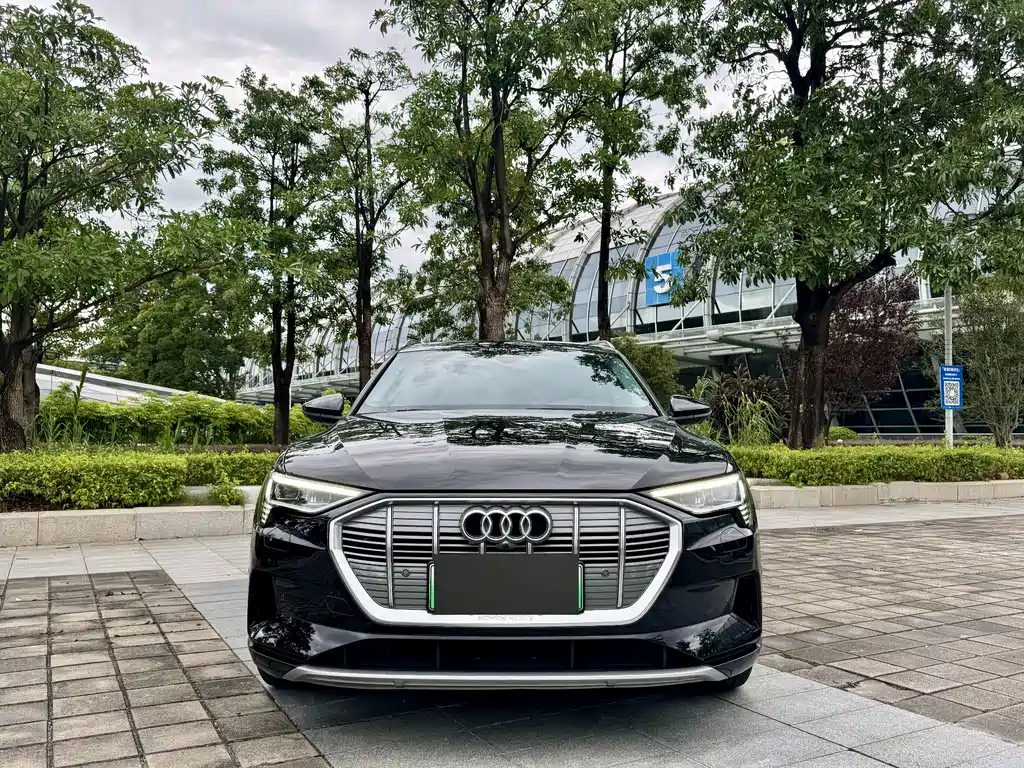Audi e-tron 2021 — фото 2