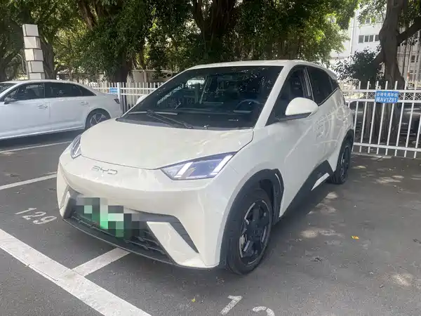 BYD Seagull 2024