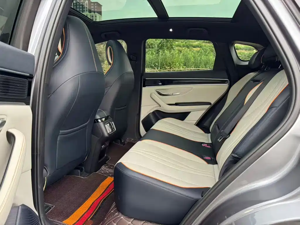 BYD Song PLUS New Energy 2022 — фото 9