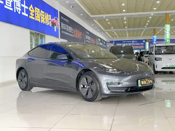 Tesla Model 3 2021